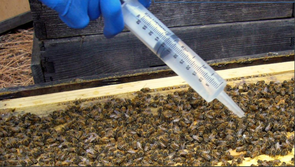 Everything You Need To Know About Oxalic Acid Hive World 1379